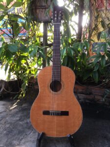 Giới Thiệu Về Guitar Classic IMG 5698