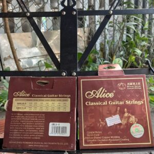 Dây Classic Alice AWR18