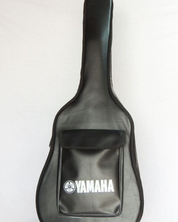 bao da guitar