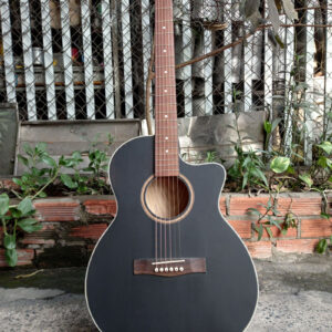 Guitar Acoustic Giá Rẻ - VE80