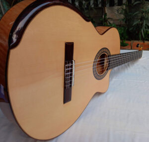 guitar classic 650 cong cuom 1