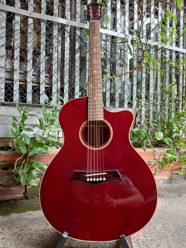 CỬA HÀNG NHẠC CỤ TRÀ VINH guitar-go-hong-dao