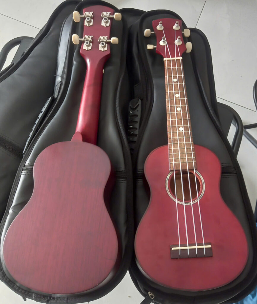 ukulele mau go