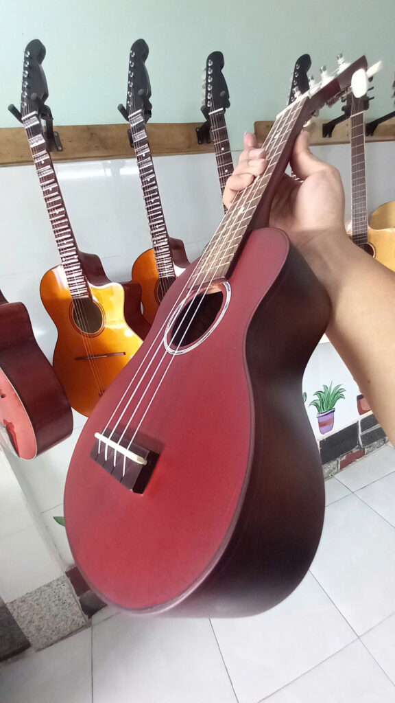 ukulele mau go gia re